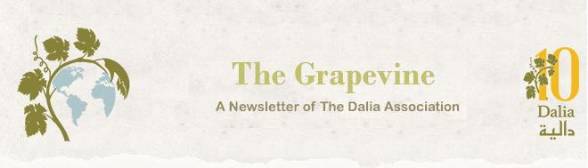 Dalia Newsletter Header Image